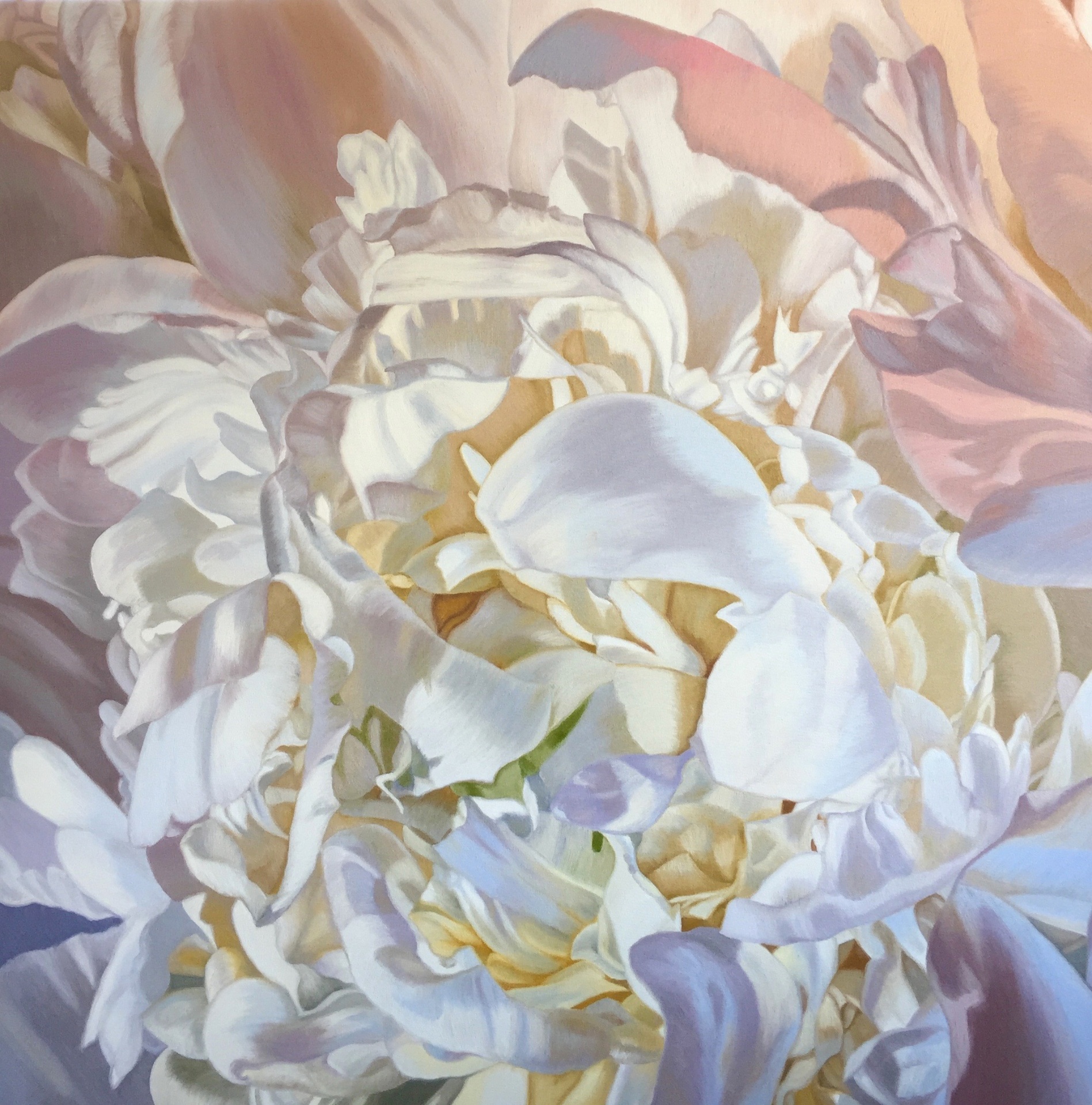 Close-up painting of a soft white and blush peony in bloom